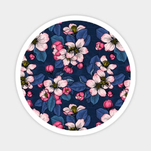 Apple blossom on dark blue Magnet